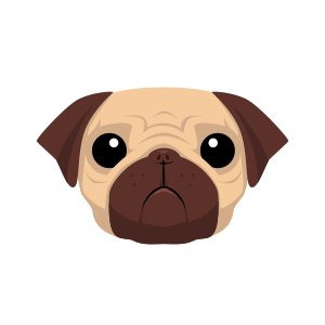 Pug